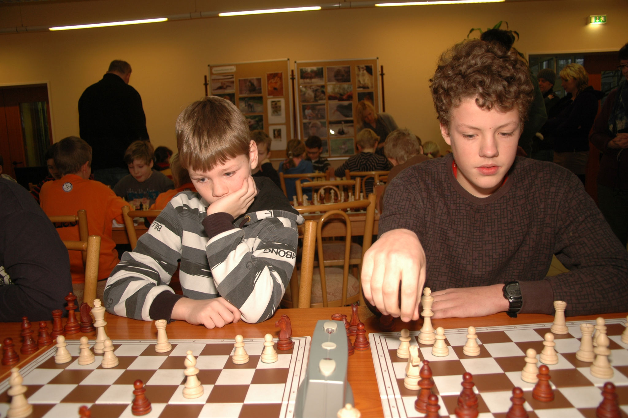 Vorschau